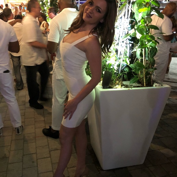 Meet your Posher, Sasha - Picture 3 of 5